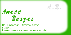 anett meszes business card